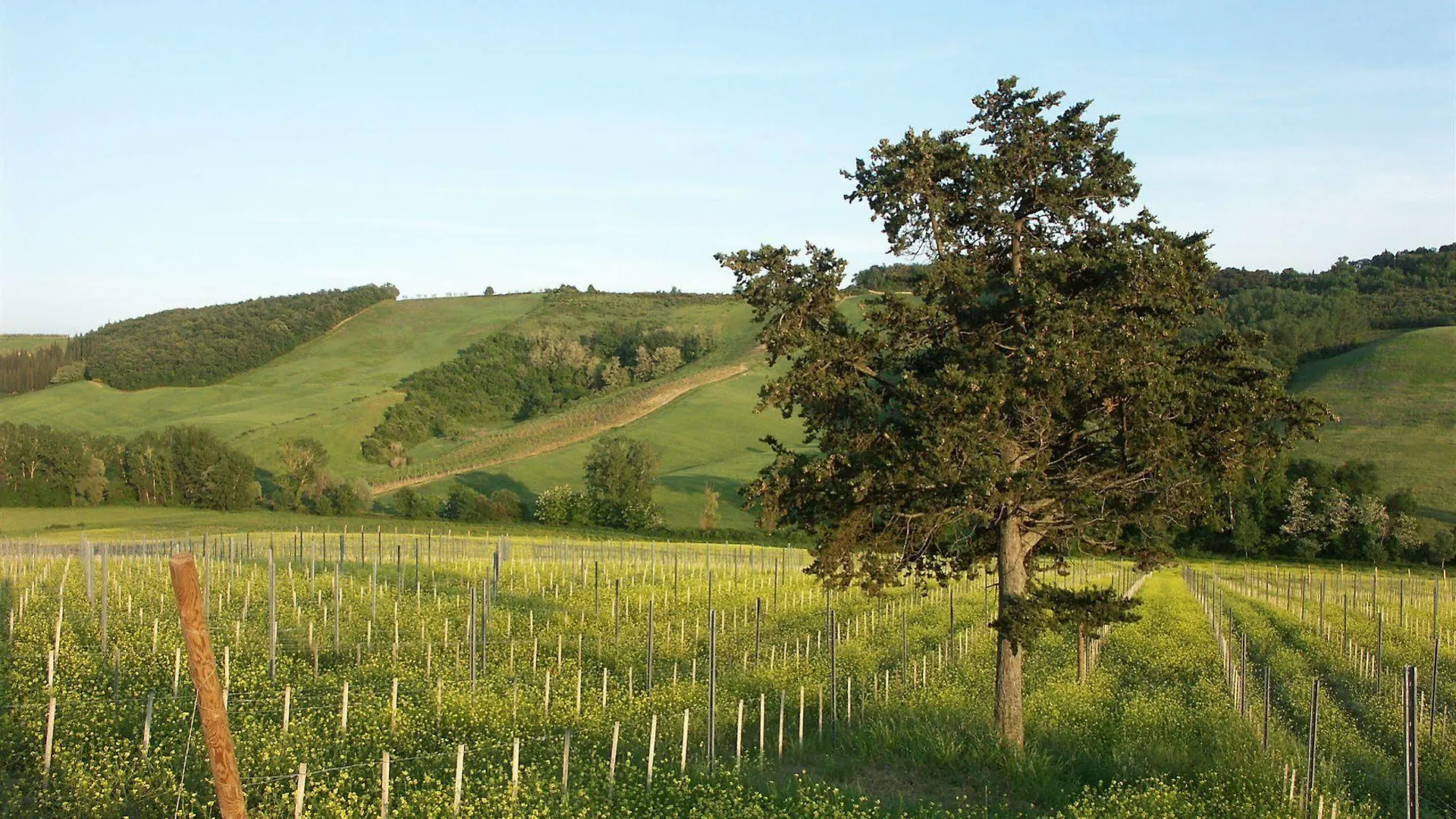 Farm stay Agriturismo Fattoria Voltrona San Gimignano
